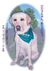 カカオちゃんのメモリアル写真　ペット葬儀日：２０１０年１０月３１日　千葉県よりご依頼